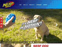 Tablet Screenshot of nerfpet.com